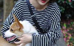 至上励合演唱会